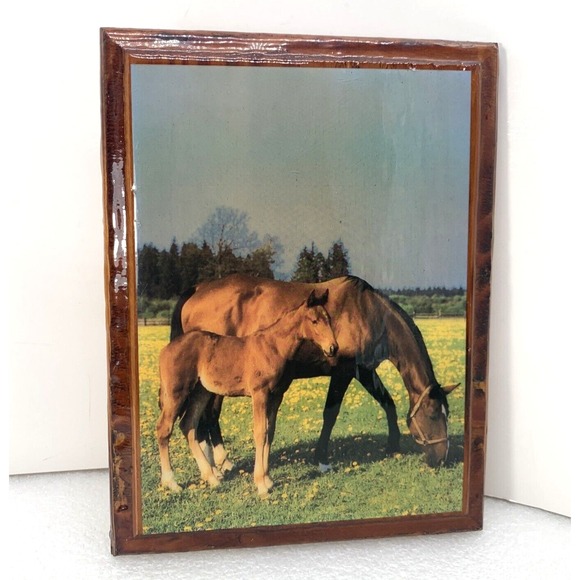 Other - Rustic Wood‎ Framed Horse & Foal Pasture Wall Art 6.5x8.5" Vintage Decor